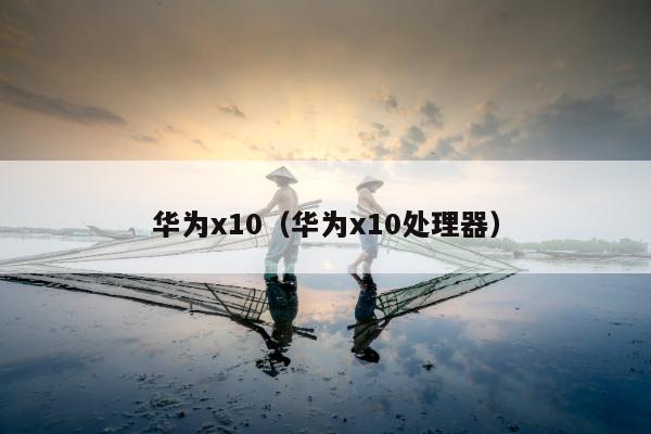 华为x10（华为x10处理器）