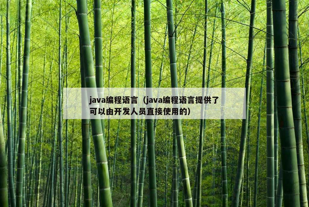 java编程语言（java编程语言提供了可以由开发人员直接使用的）