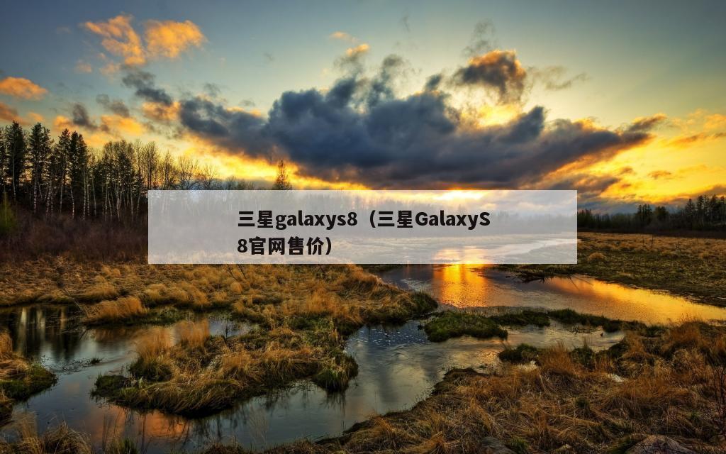 三星galaxys8（三星GalaxyS8官网售价）