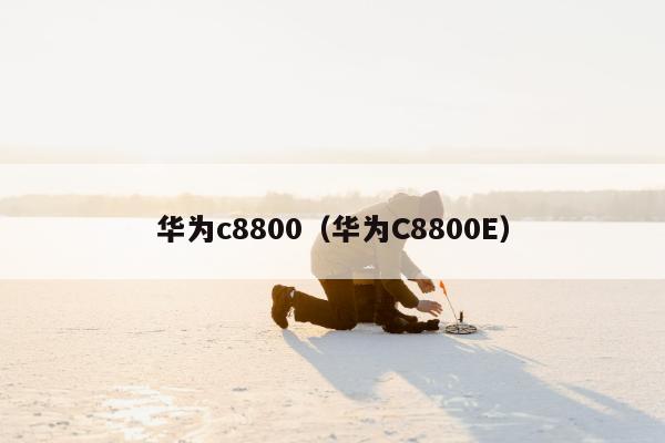 华为c8800（华为C8800E）