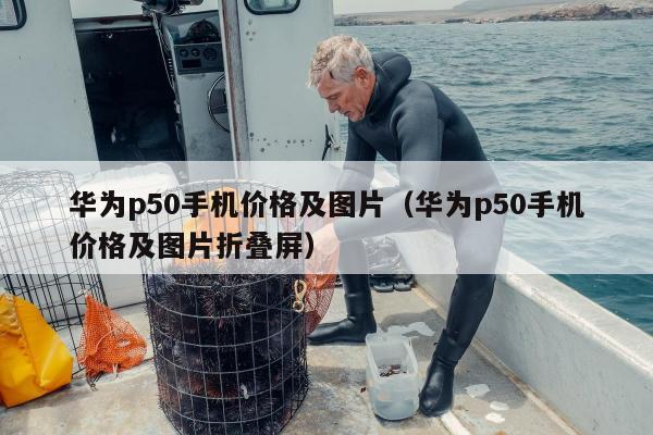 华为p50手机价格及图片（华为p50手机价格及图片折叠屏）