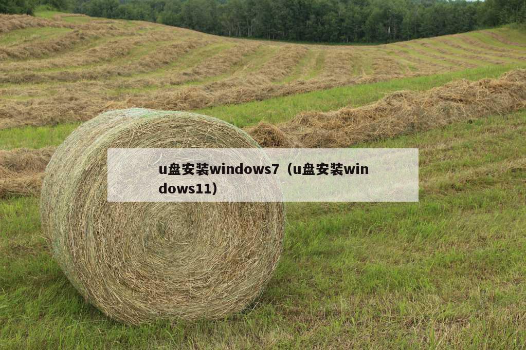 u盘安装windows7（u盘安装windows11）