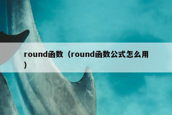 round函数（round函数公式怎么用）