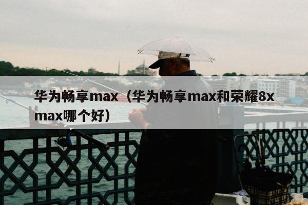 华为畅享max（华为畅享max和荣耀8xmax哪个好）