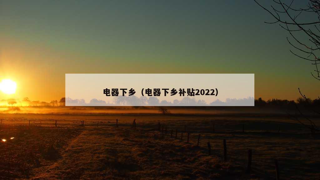 电器下乡（电器下乡补贴2022）