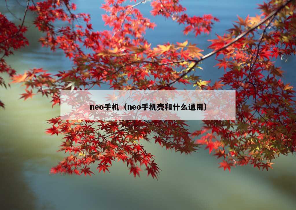 neo手机（neo手机壳和什么通用）