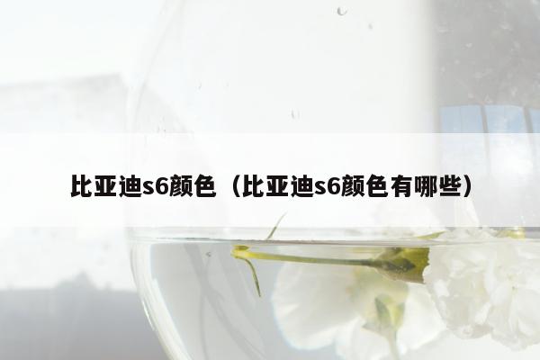 比亚迪s6颜色（比亚迪s6颜色有哪些）