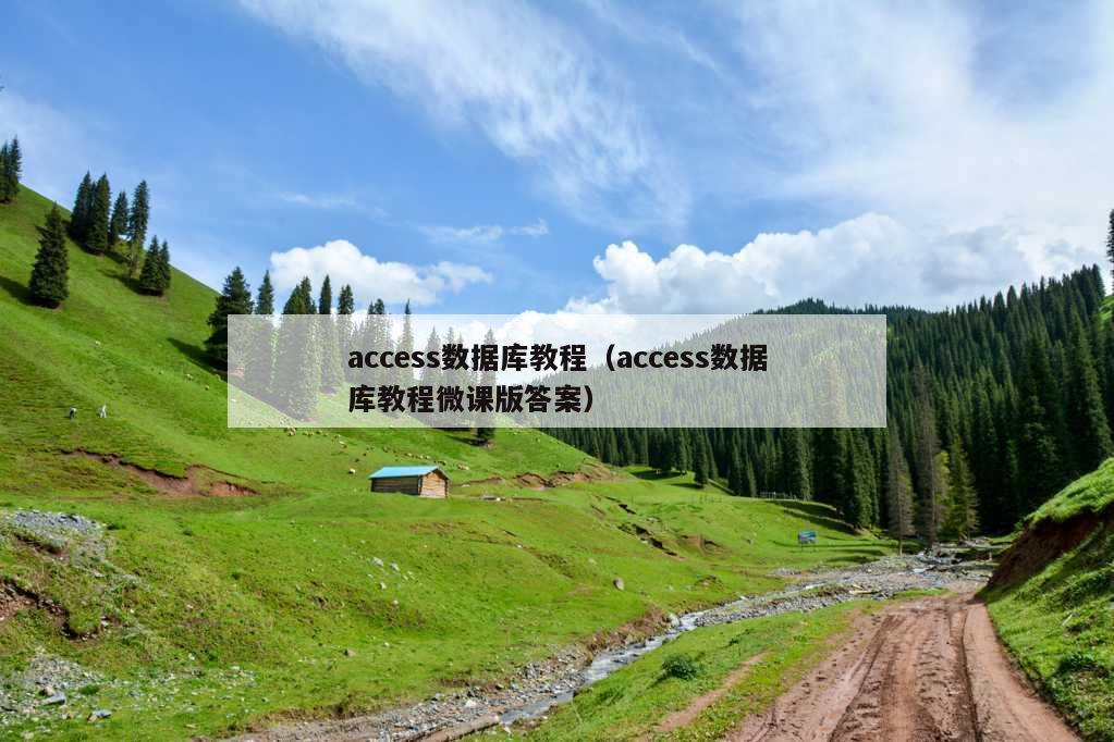 access数据库教程（access数据库教程微课版答案）