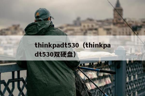 thinkpadt530（thinkpadt530双硬盘）