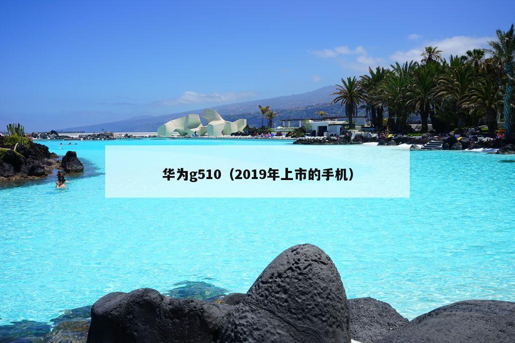 华为g510（2019年上市的手机）