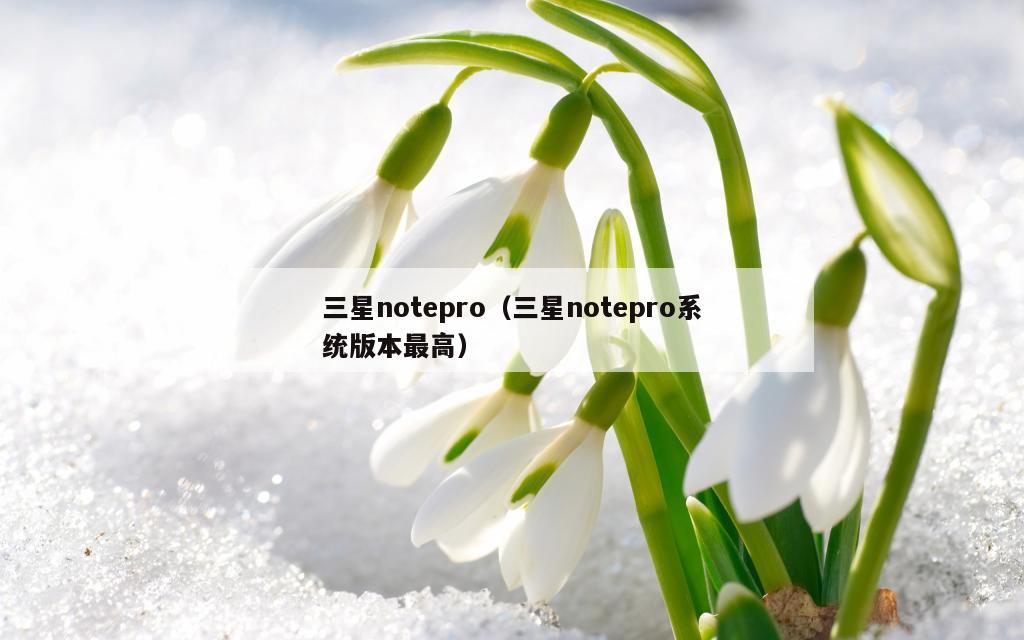 三星notepro（三星notepro系统版本最高）