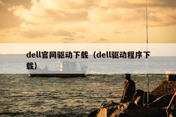 dell官网驱动下载（dell驱动程序下载）