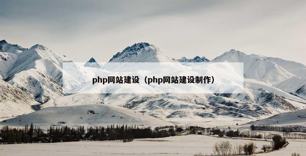 php网站建设（php网站建设制作）