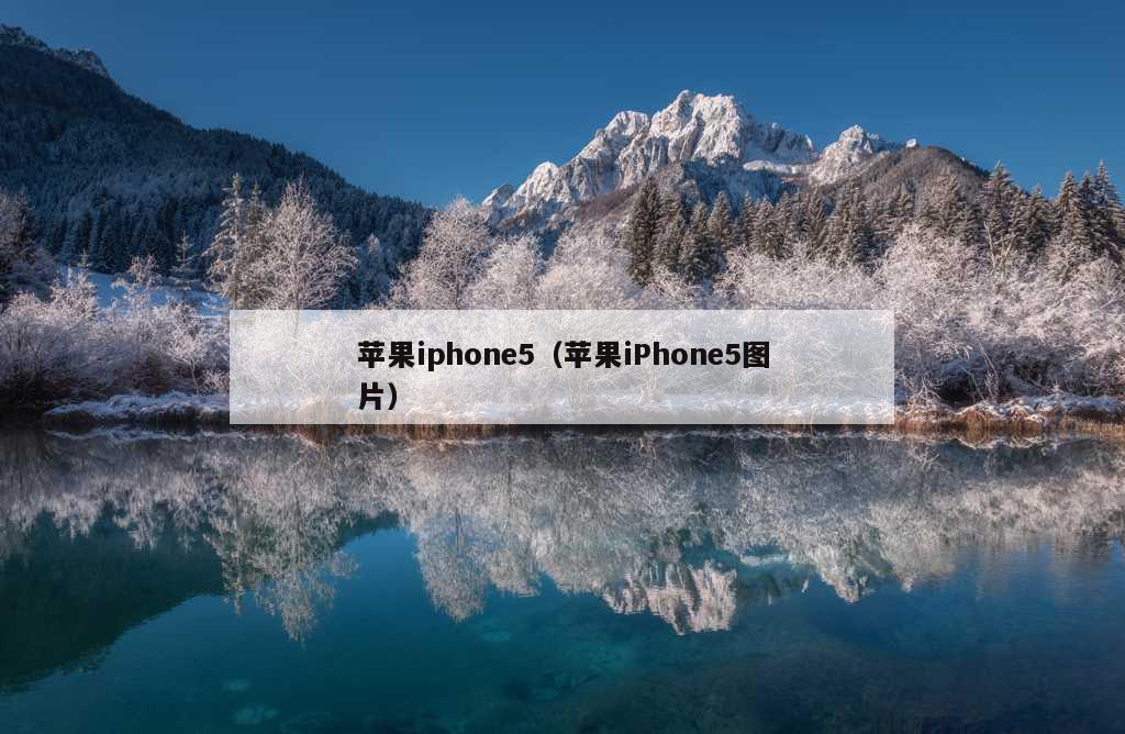 苹果iphone5（苹果iPhone5图片）