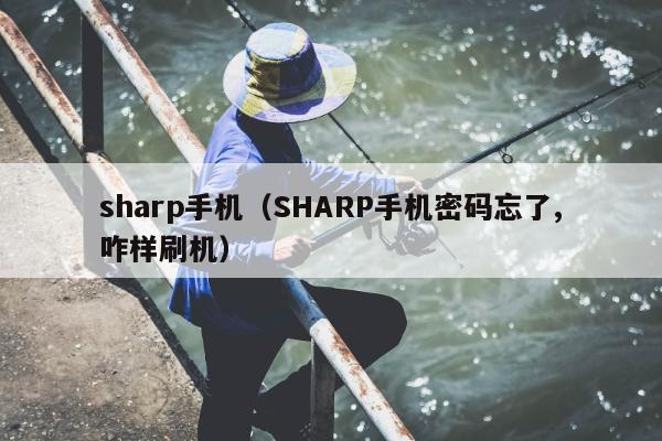 sharp手机（SHARP手机密码忘了,咋样刷机）