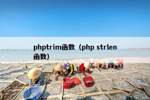 phptrim函数（php strlen函数）