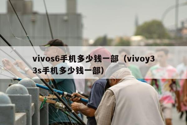 vivos6手机多少钱一部（vivoy33s手机多少钱一部）