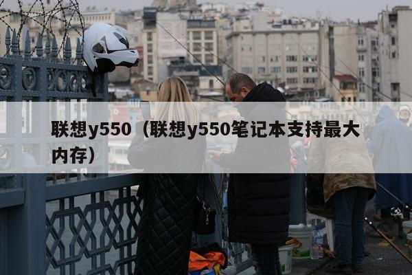 联想y550（联想y550笔记本支持最大内存）