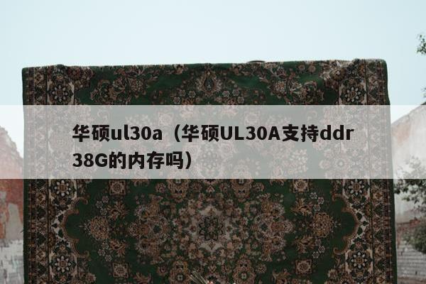 华硕ul30a（华硕UL30A支持ddr38G的内存吗）