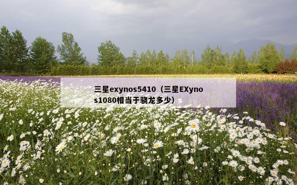 三星exynos5410（三星EXynos1080相当于骁龙多少）