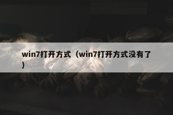 win7打开方式（win7打开方式没有了）