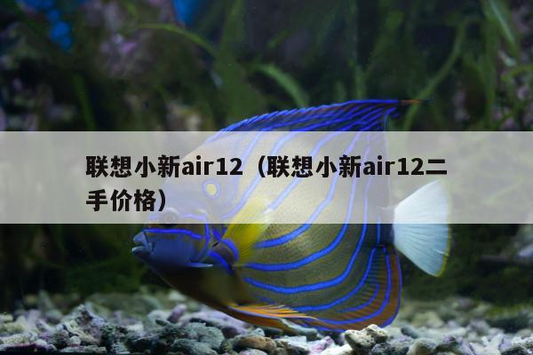 联想小新air12（联想小新air12二手价格）