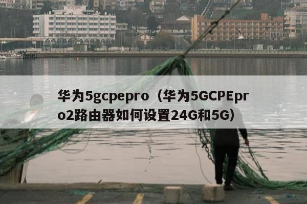 华为5gcpepro（华为5GCPEpro2路由器如何设置24G和5G）