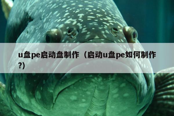 u盘pe启动盘制作（启动u盘pe如何制作?）