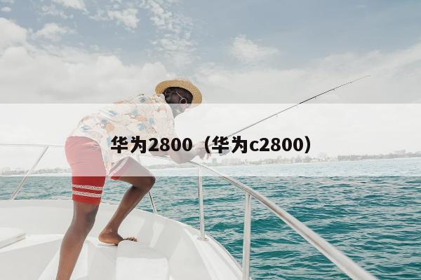 华为2800（华为c2800）