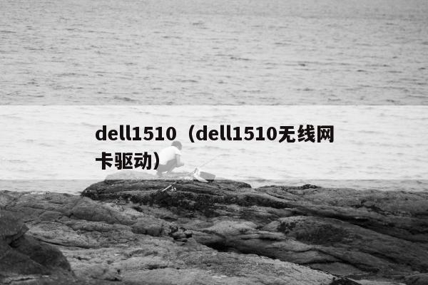 dell1510（dell1510无线网卡驱动）