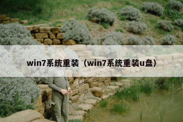 win7系统重装（win7系统重装u盘）