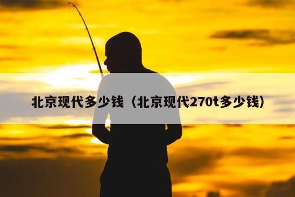 北京现代多少钱（北京现代270t多少钱）