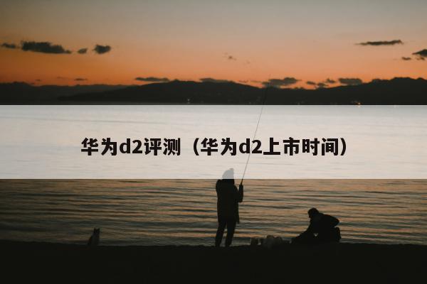 华为d2评测（华为d2上市时间）