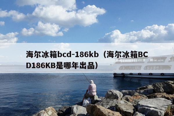 海尔冰箱bcd-186kb（海尔冰箱BCD186KB是哪年出品）