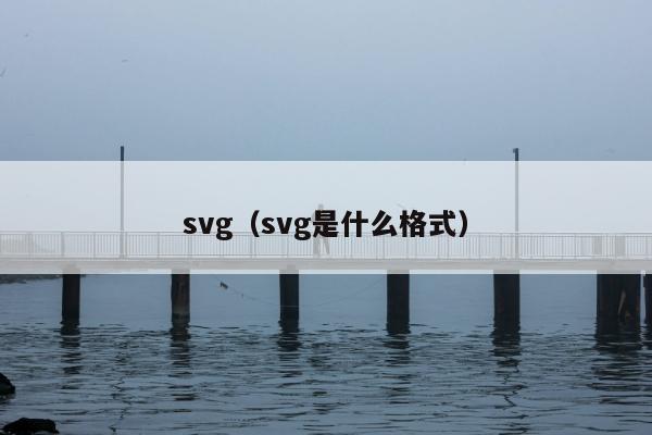 svg（svg是什么格式）