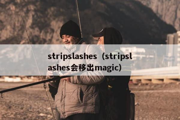 stripslashes（stripslashes会移出magic）