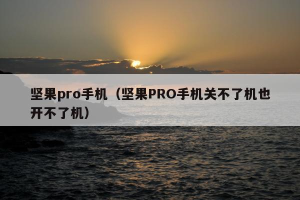 坚果pro手机（坚果PRO手机关不了机也开不了机）