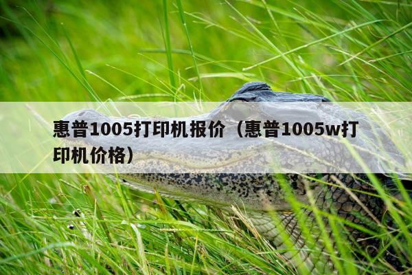 惠普1005打印机报价（惠普1005w打印机价格）