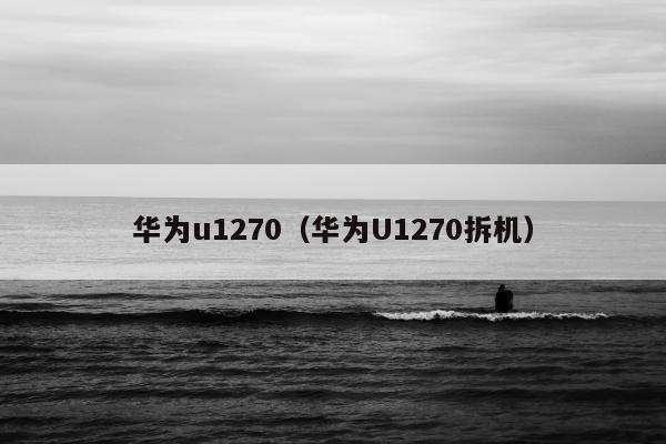 华为u1270（华为U1270拆机）