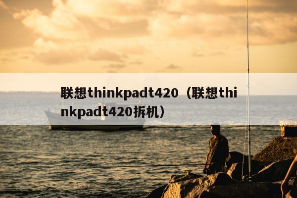 联想thinkpadt420（联想thinkpadt420拆机）