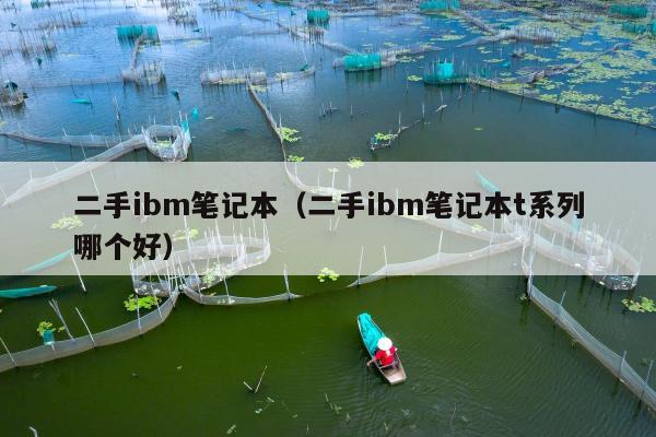 二手ibm笔记本（二手ibm笔记本t系列哪个好）