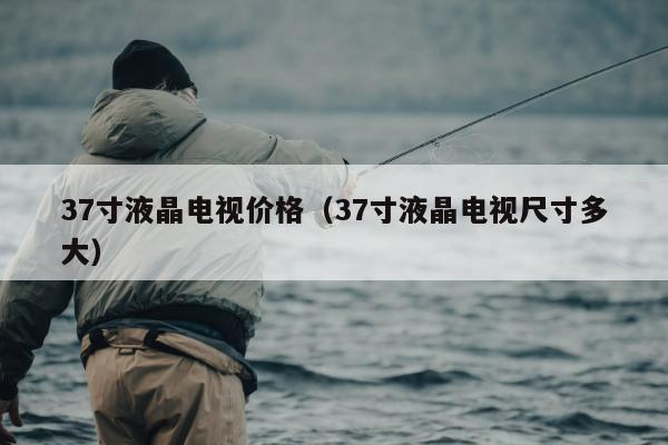 37寸液晶电视价格（37寸液晶电视尺寸多大）