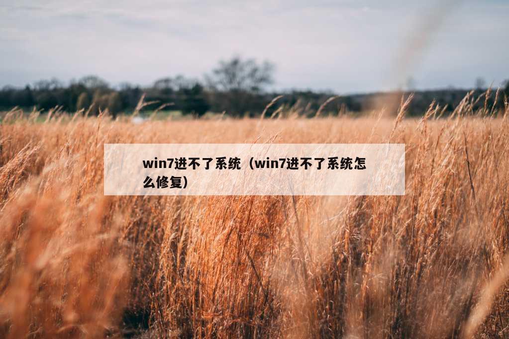 win7进不了系统（win7进不了系统怎么修复）