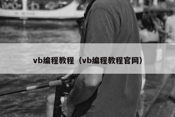 vb编程教程（vb编程教程官网）