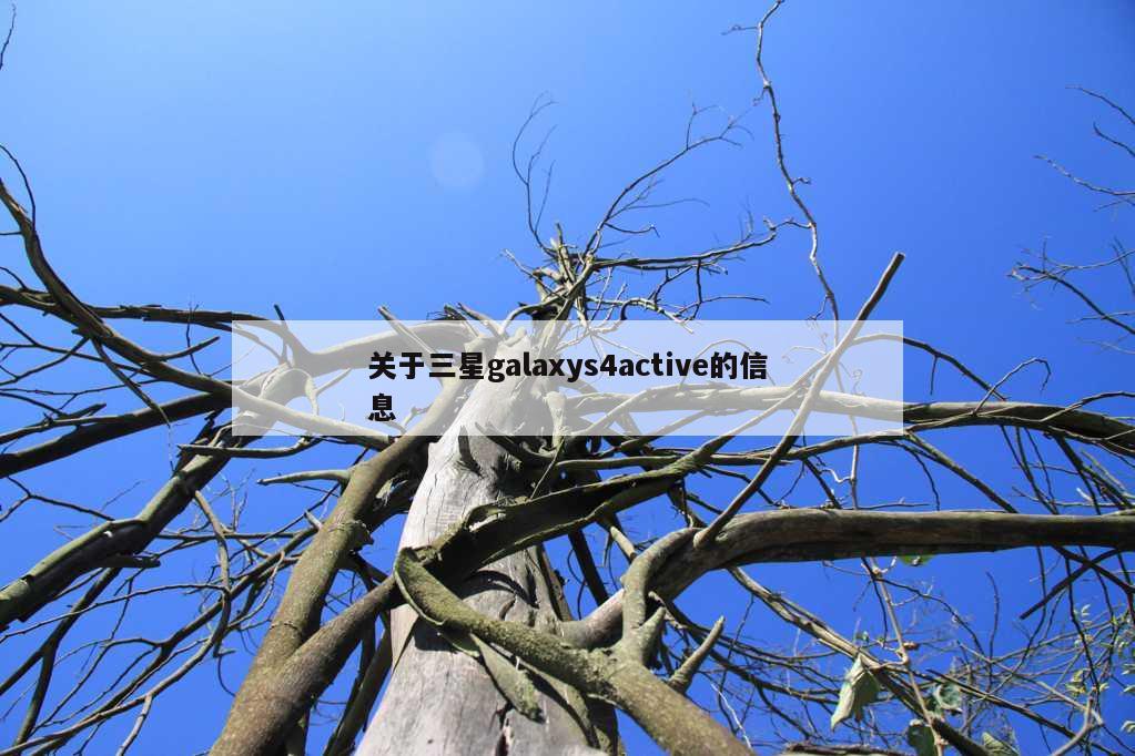 关于三星galaxys4active的信息