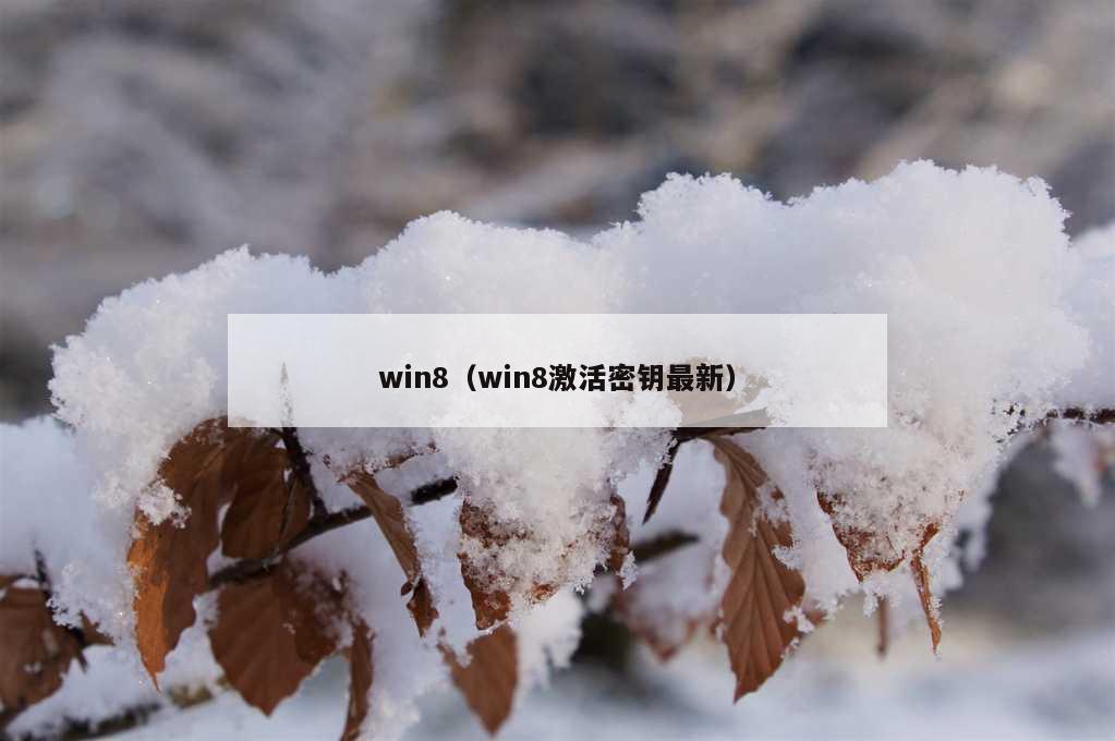 win8（win8激活密钥最新）