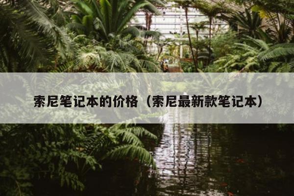 索尼笔记本的价格（索尼最新款笔记本）