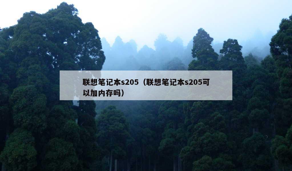 联想笔记本s205（联想笔记本s205可以加内存吗）