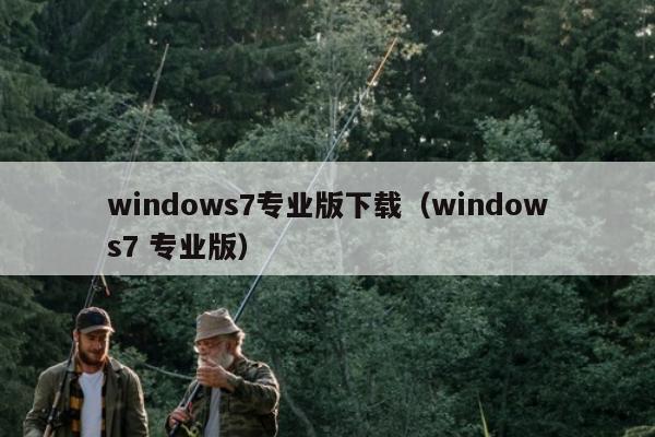 windows7专业版下载（windows7 专业版）