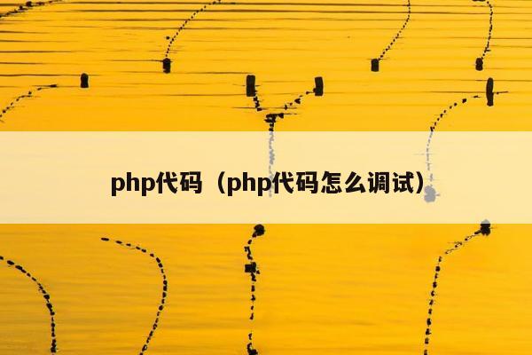 php代码（php代码怎么调试）